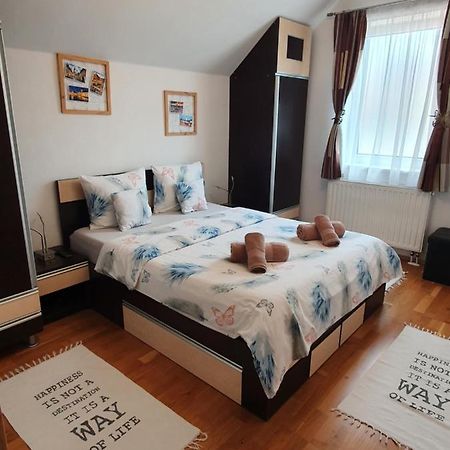 Smiley Apartment Sibiu Exteriér fotografie