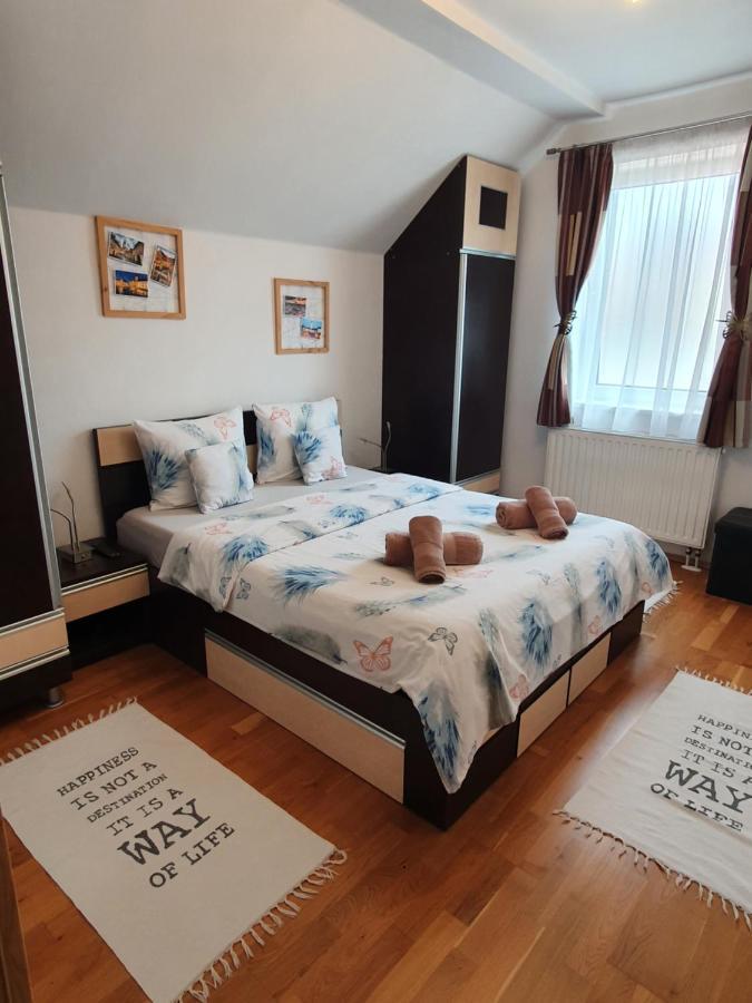 Smiley Apartment Sibiu Exteriér fotografie